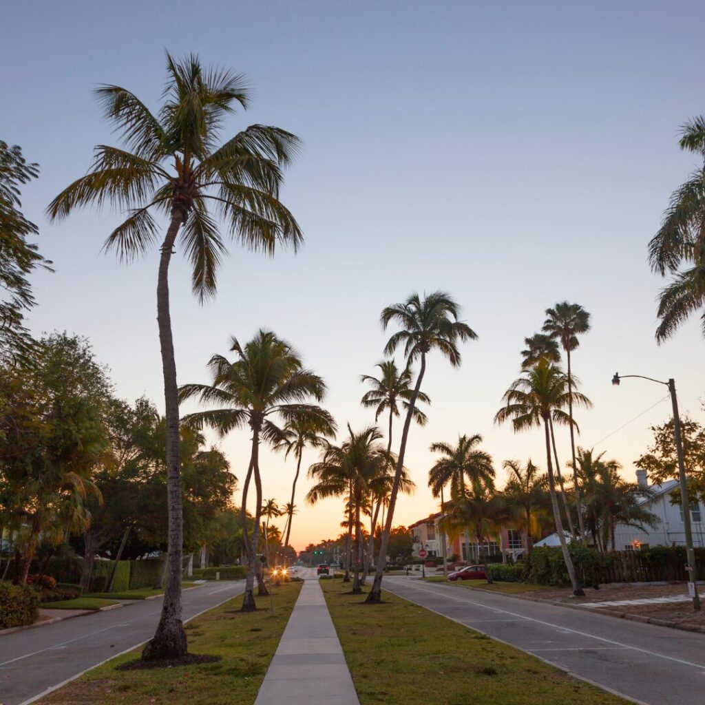 Florida Roofs_roof fix - Roof Fix Florida Florida Roofs